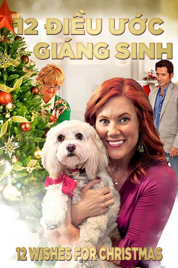 12 Điều Ước Giáng Sinh | 12 Wishes For Christmas (2011)