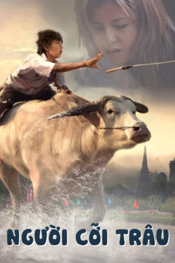 Người Cỡi Trâu | Buffalo Rider (2015)